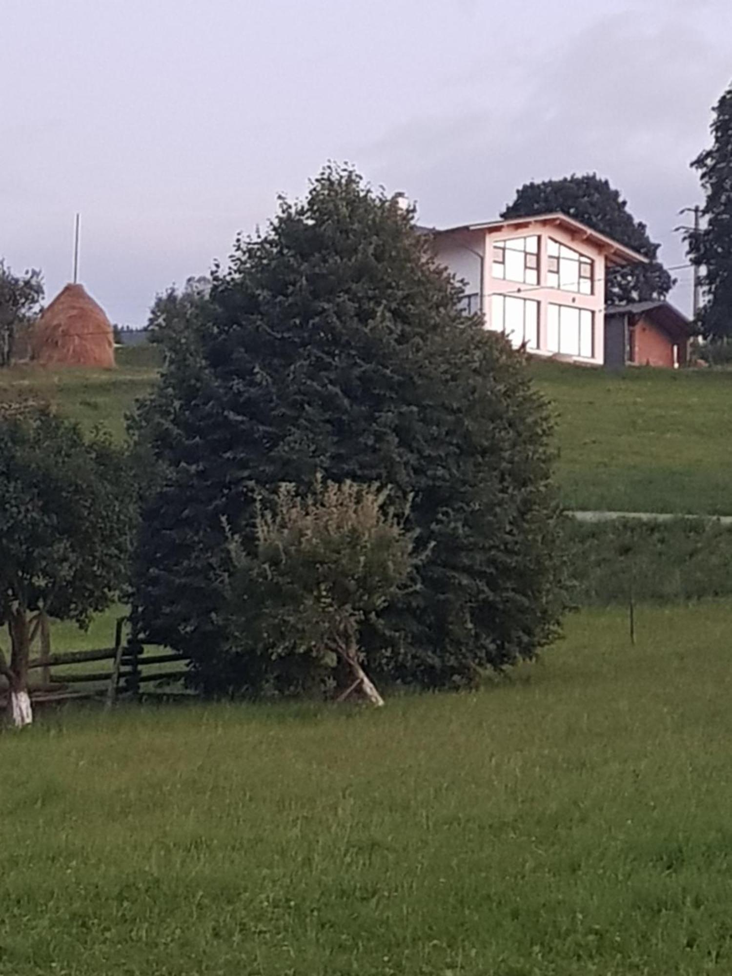 Hotel Watra Chalet Vatra Dornei Exteriér fotografie